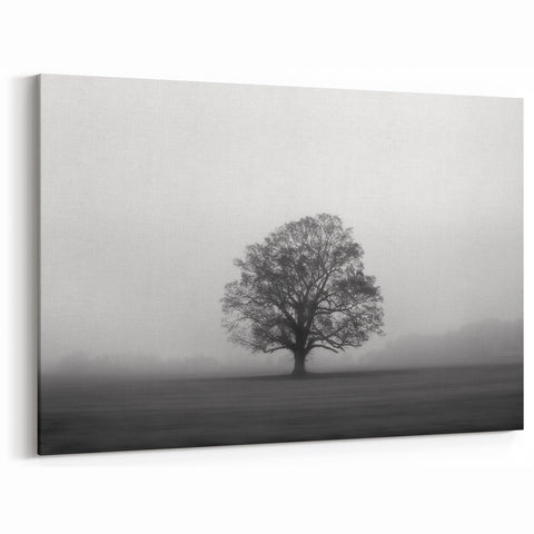 Solitary Tree in Fog Art - Serene Black and White Landscape Wall Decor
