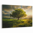 Solitary Tree at Sunset - Serene Nature Wall Art in Scenic Landscape Prints