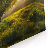 Solitary Tree at Sunset - Serene Nature Wall Art in Scenic Landscape Prints