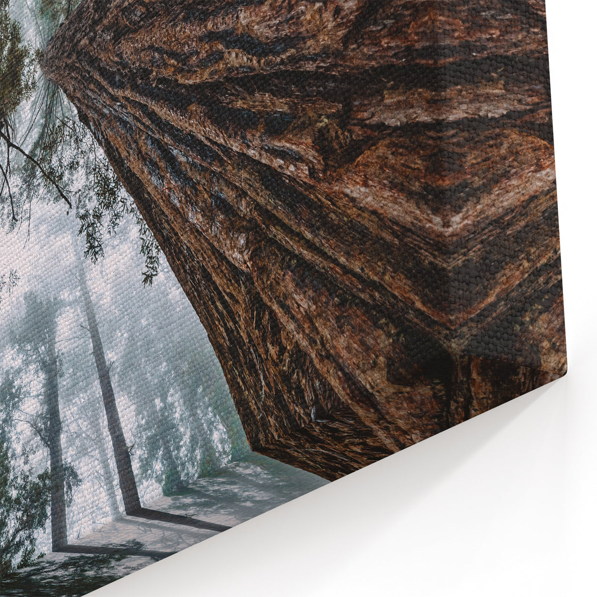 Towering Redwood Trees in Mist Art - Majestic Forest Landscape Decor
