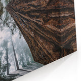 Towering Redwood Trees in Mist Art - Majestic Forest Landscape Decor