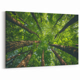 Upward Forest View - Serene Green Tree Canopy Wall Art in Nature Prints