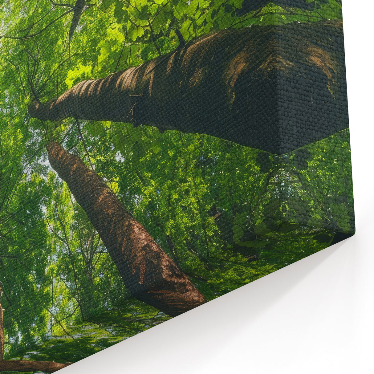 Upward Forest View - Serene Green Tree Canopy Wall Art in Nature Prints
