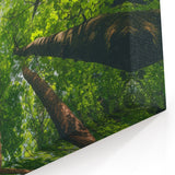 Upward Forest View - Serene Green Tree Canopy Wall Art in Nature Prints