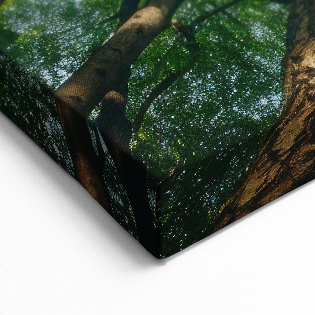 Upward Forest View - Serene Green Tree Canopy Wall Art in Nature Prints