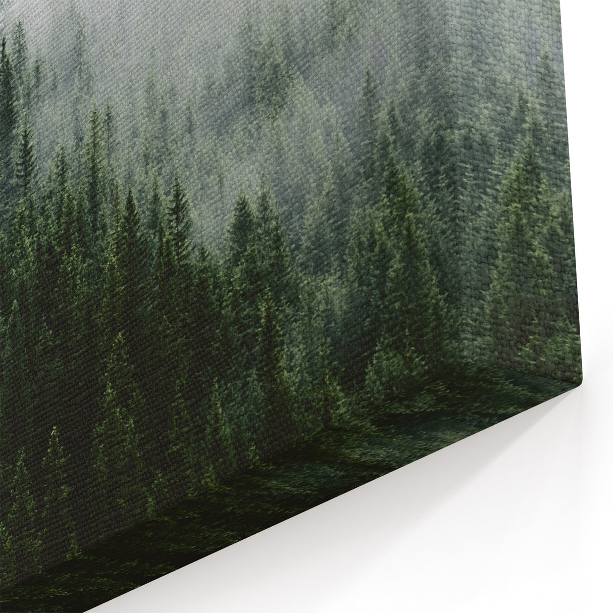 Misty Pine Forest - Serene Mist and Fog Canvas Print