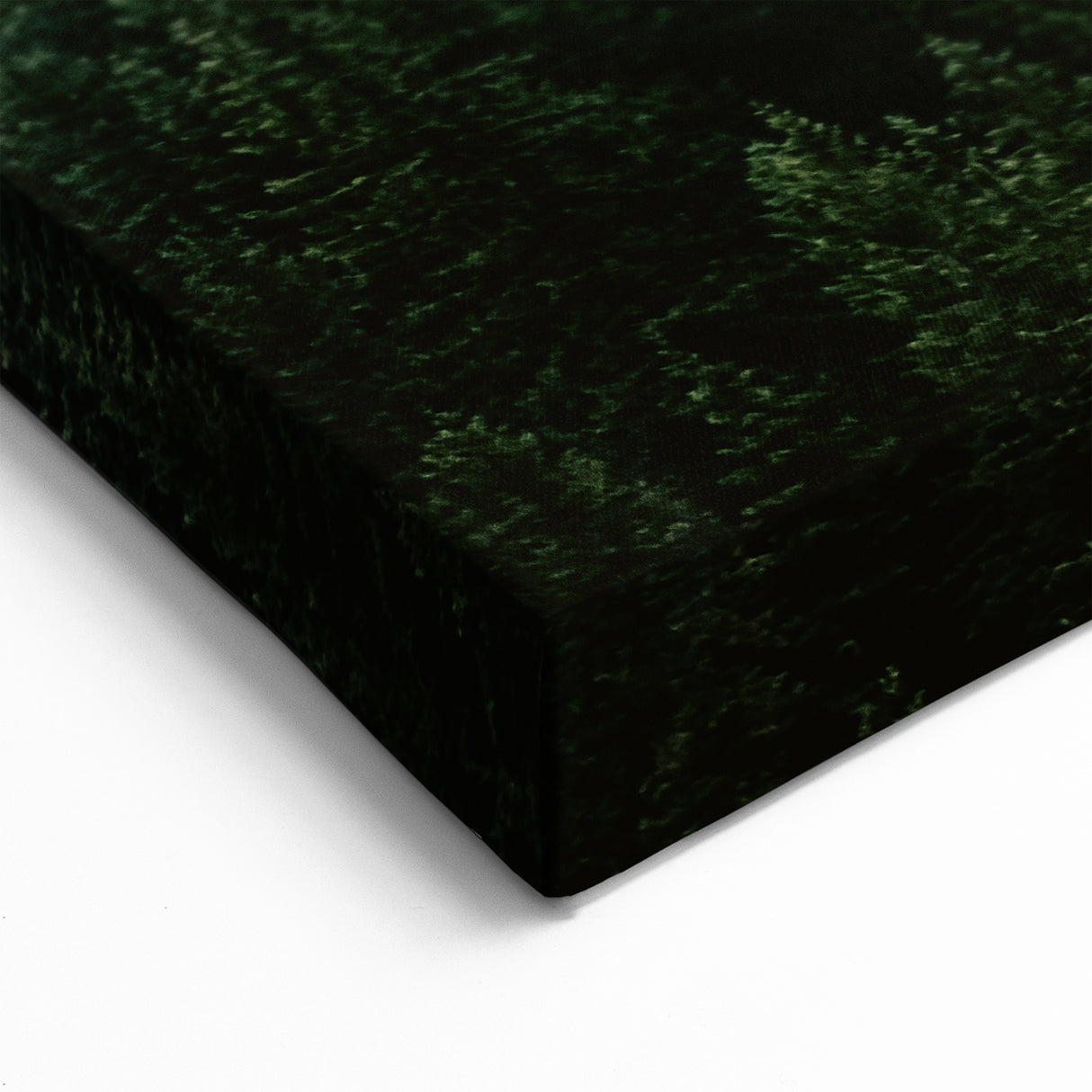 Misty Pine Forest - Serene Mist and Fog Canvas Print
