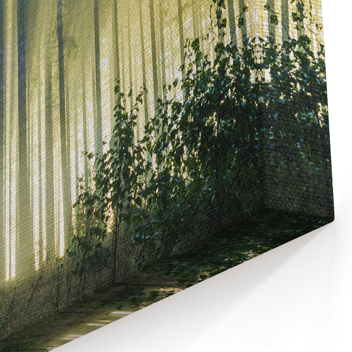 Sunbeams Through Forest Trees - Serene Nature Wall Art in Landscape Prints