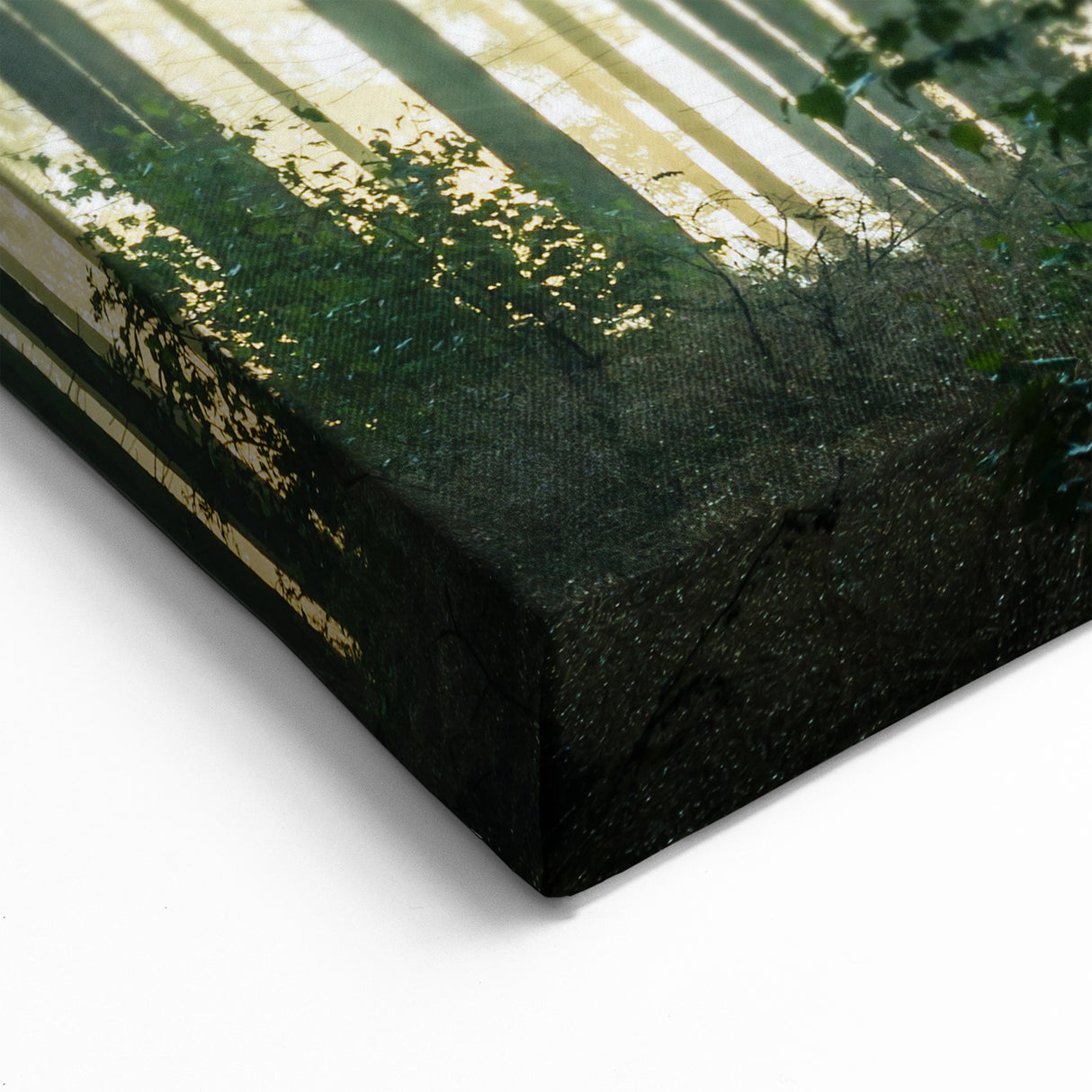 Sunbeams Through Forest Trees - Serene Nature Wall Art in Landscape Prints