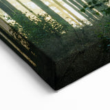 Sunbeams Through Forest Trees - Serene Nature Wall Art in Landscape Prints