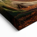 Majestic Forest Path - Serene Nature Wall Art in Autumn Tree Prints