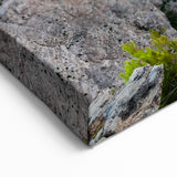 Shipwreck Cove Beach Wall Art - Dramatic Coastal Landscape Canvas Print