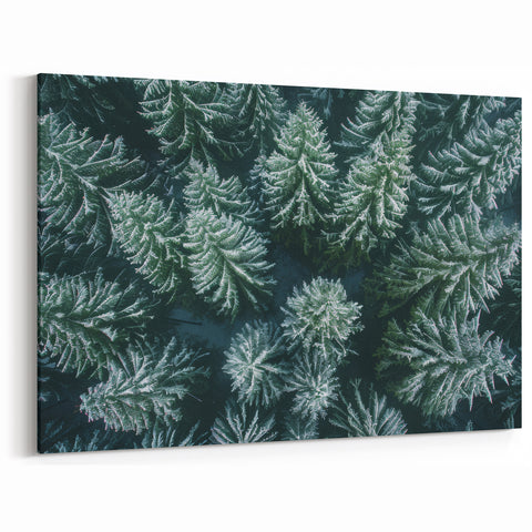 Frosted Evergreen Tree Wall Art - Aerial Winter Landscape Prints
