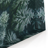 Frosted Evergreen Tree Wall Art - Aerial Winter Landscape Prints