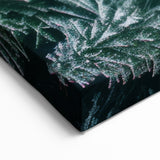 Frosted Evergreen Tree Wall Art - Aerial Winter Landscape Prints