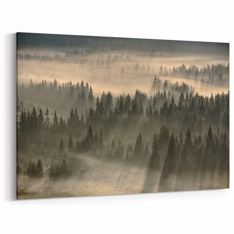 Misty Forest Sunrise Art - Serene Tree Canopy Canvas for Tranquil Decor