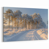 Golden Hour Winter Path Tree Wall Art - Serene Nature Landscape Print