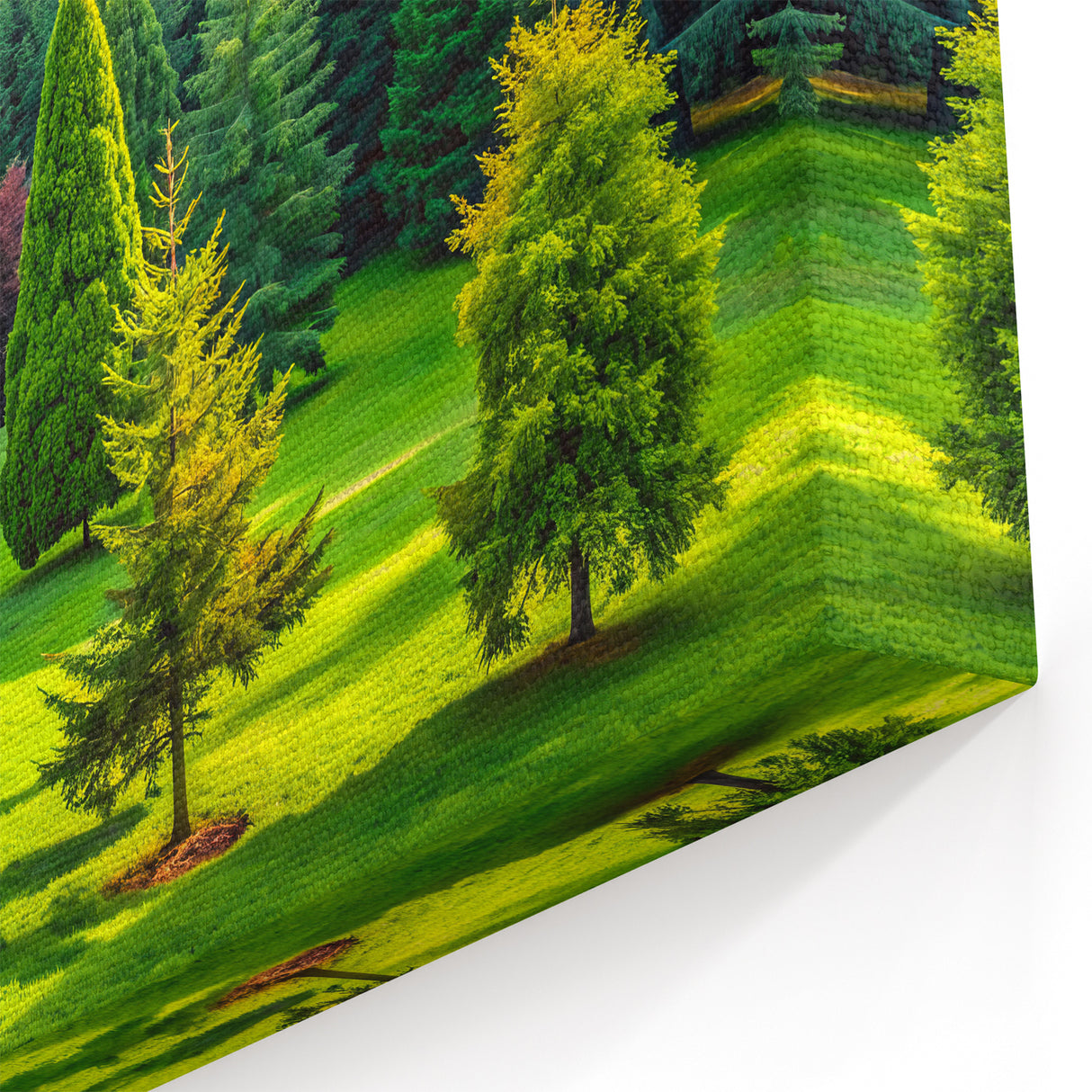 Vibrant Evergreen Forest Wall Art - Lush Nature Landscape Canvas Print