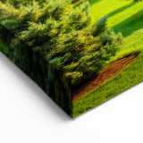 Vibrant Evergreen Forest Wall Art - Lush Nature Landscape Canvas Print