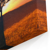 Solitary Tree at Sunset Wall Art - Stunning Nature Landscape Canvas