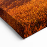 Solitary Tree at Sunset Wall Art - Stunning Nature Landscape Canvas