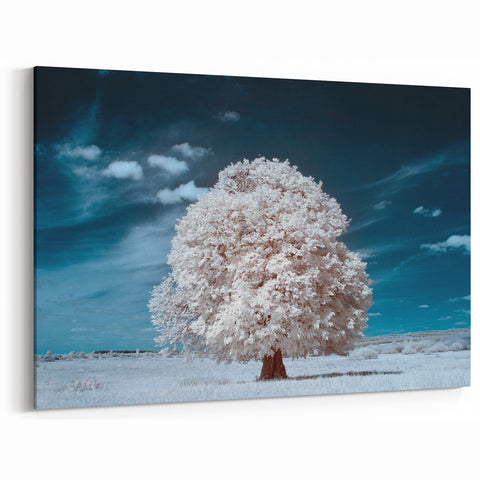 Ethereal White Tree Wall Art - Dreamlike Nature Landscape Canvas Print