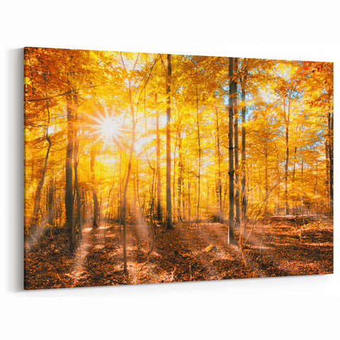 Golden Autumn Forest Wall Art - Warm Sunlit Nature Landscape Print