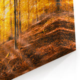 Golden Autumn Forest Wall Art - Warm Sunlit Nature Landscape Print
