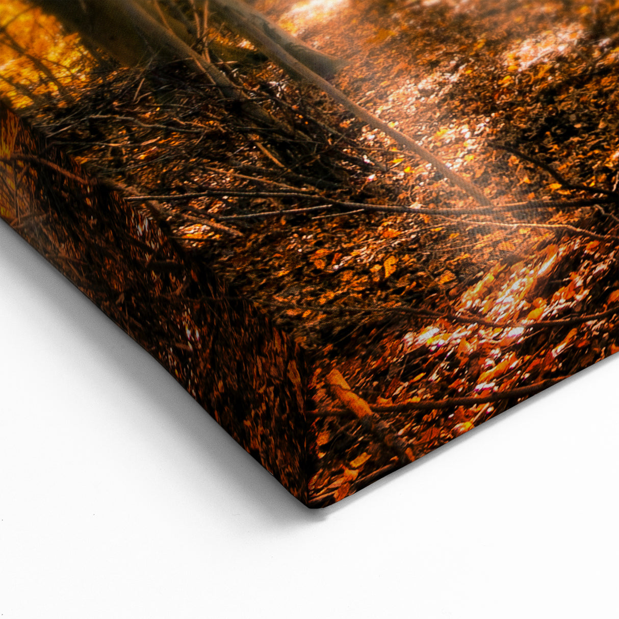 Golden Autumn Forest Wall Art - Warm Sunlit Nature Landscape Print