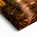 Golden Autumn Forest Wall Art - Warm Sunlit Nature Landscape Print