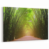 Serene Bamboo Forest Path Wall Art - Tranquil Nature Landscape Print