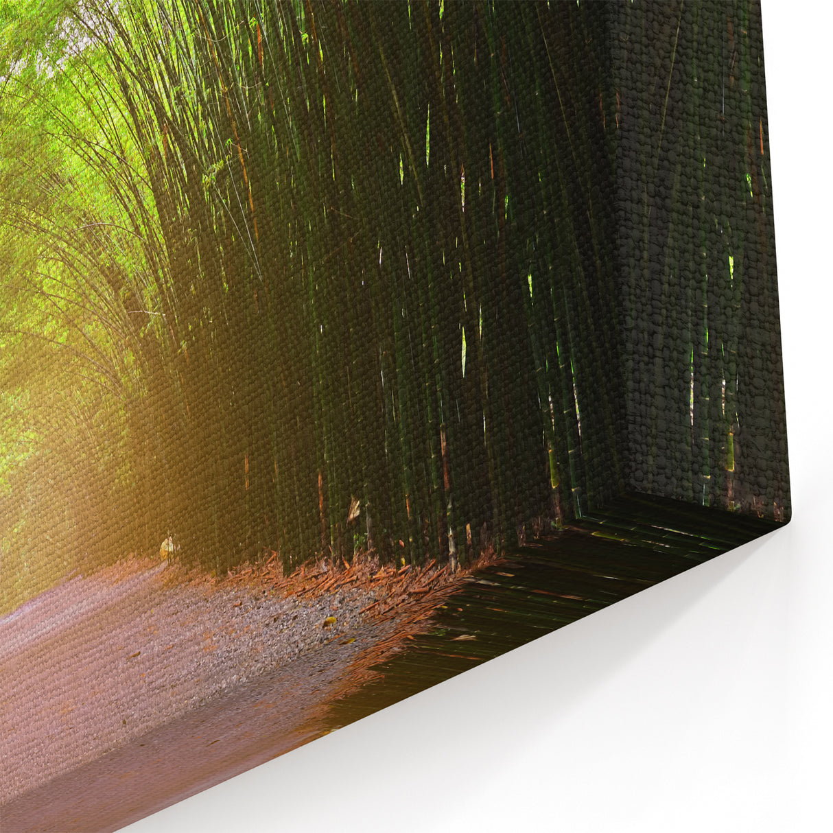 Serene Bamboo Forest Path Wall Art - Tranquil Nature Landscape Print