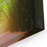 Serene Bamboo Forest Path Wall Art - Tranquil Nature Landscape Print
