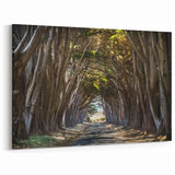 Scenic Tree Wall Art - Serene Nature Landscape Tree Canvas Print Decor
