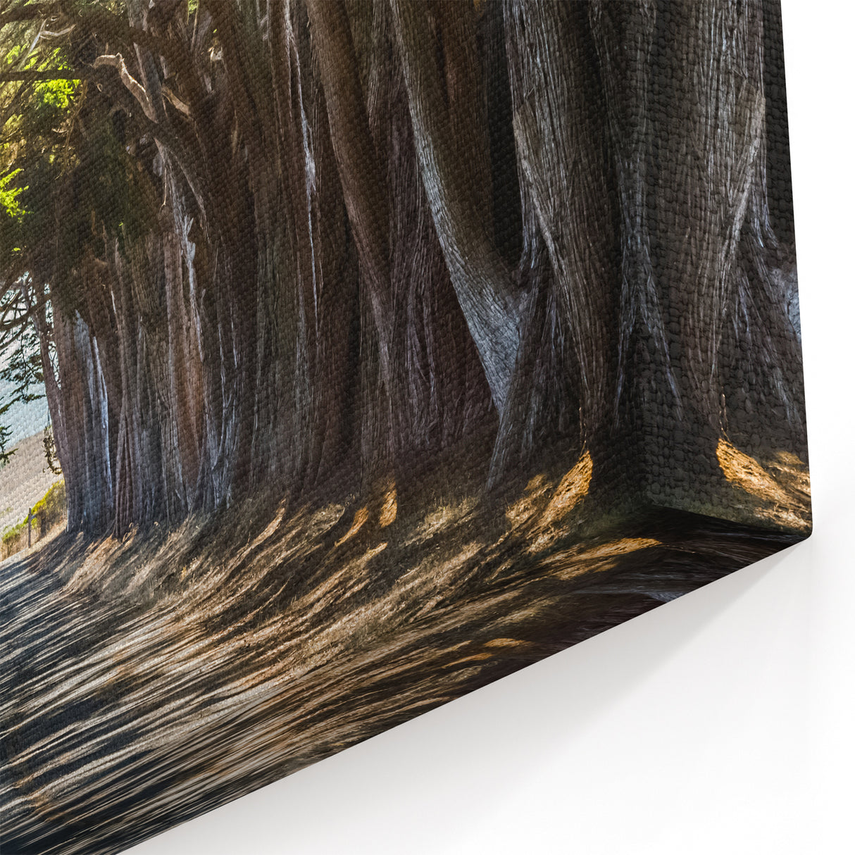 Scenic Tree Wall Art - Serene Nature Landscape Tree Canvas Print Decor