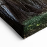 Scenic Tree Wall Art - Serene Nature Landscape Tree Canvas Print Decor