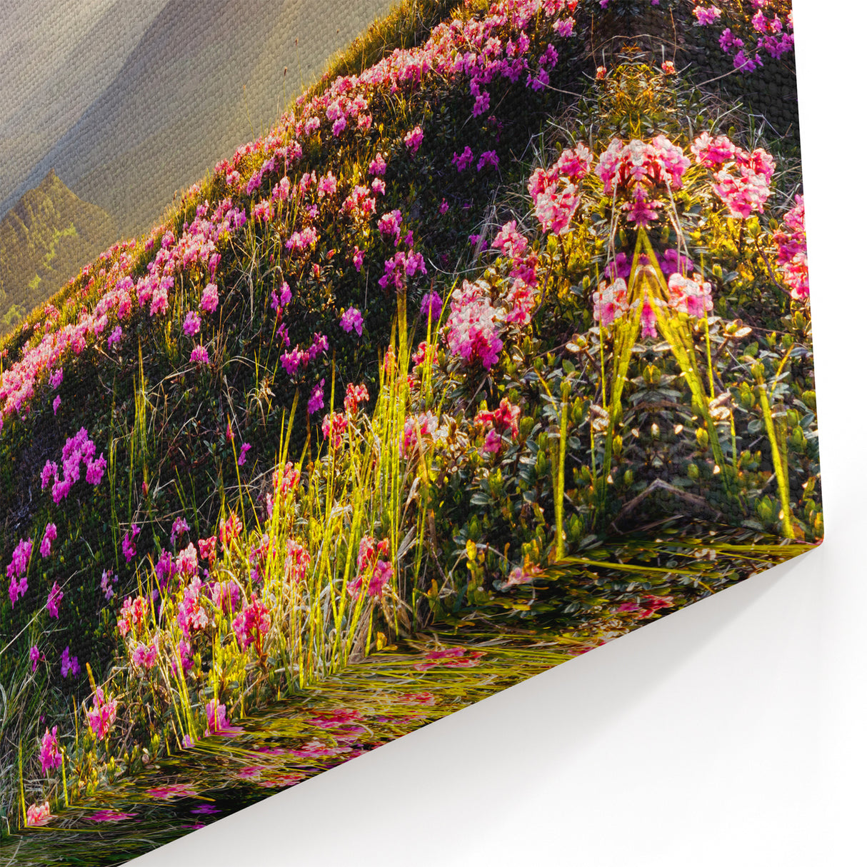 Sunrise Over Mountain Meadow Canvas Art - Vibrant Nature Landscape Decor