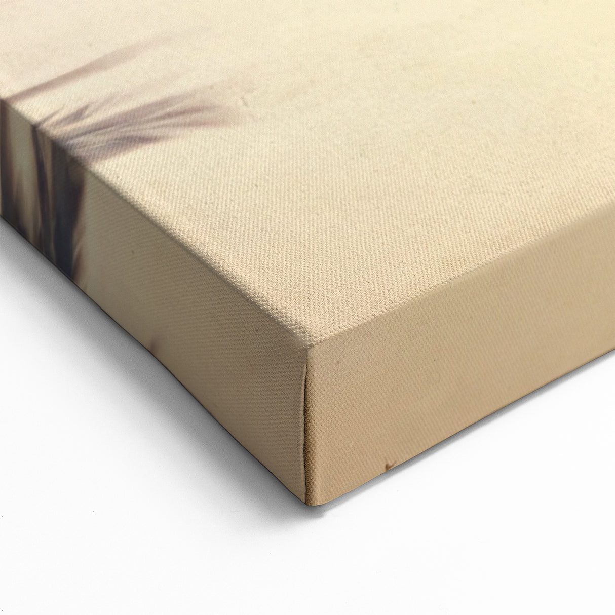 Tropical Beach Landscape - Serene Oceanfront Canvas for Coastal Decor