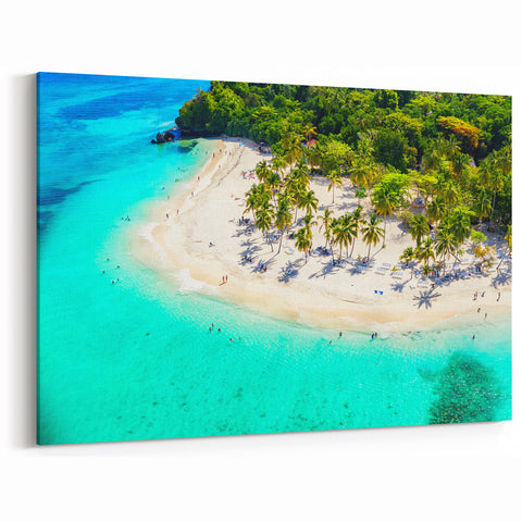 Tropical Beach Aerial View Wall Art - Palm Trees and Turquoise Waters