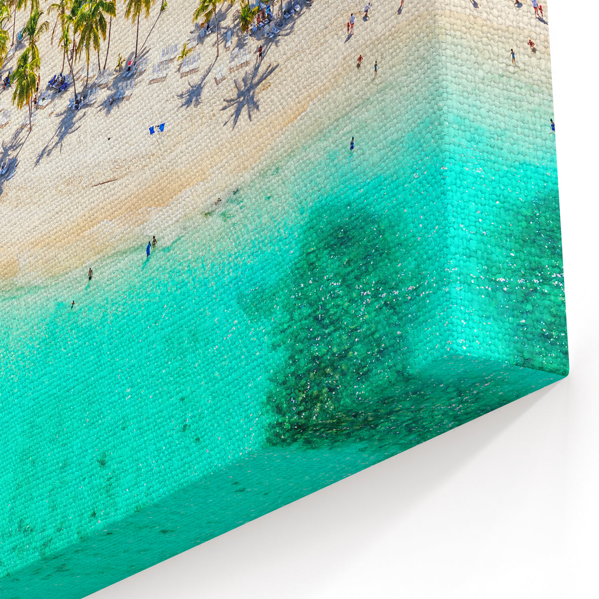 Tropical Beach Aerial View Wall Art - Palm Trees and Turquoise Waters