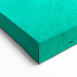 Tropical Beach Aerial View Wall Art - Palm Trees and Turquoise Waters