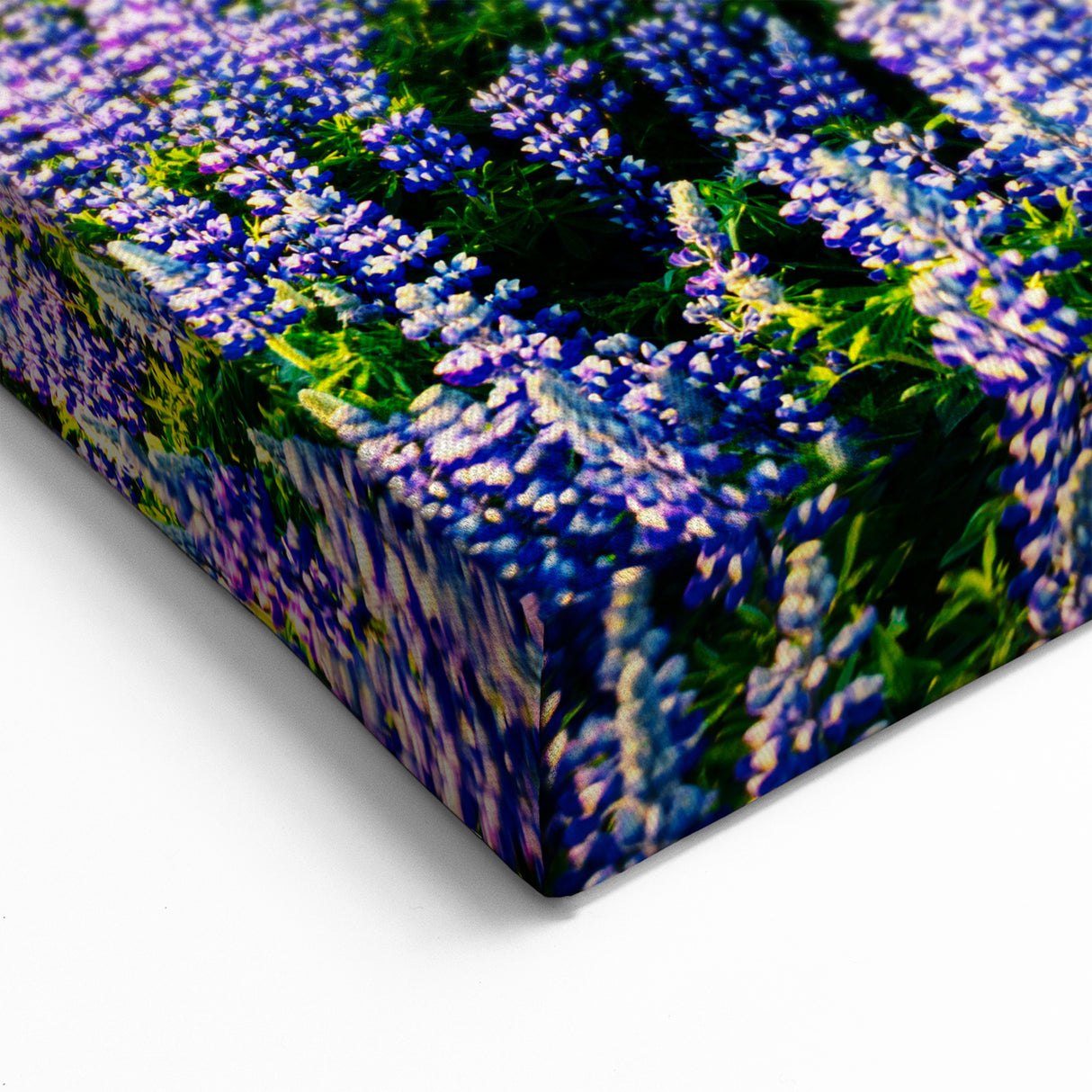 Vibrant Mountain Wildflowers Art - Stunning Scenic Landscape Wall Decor