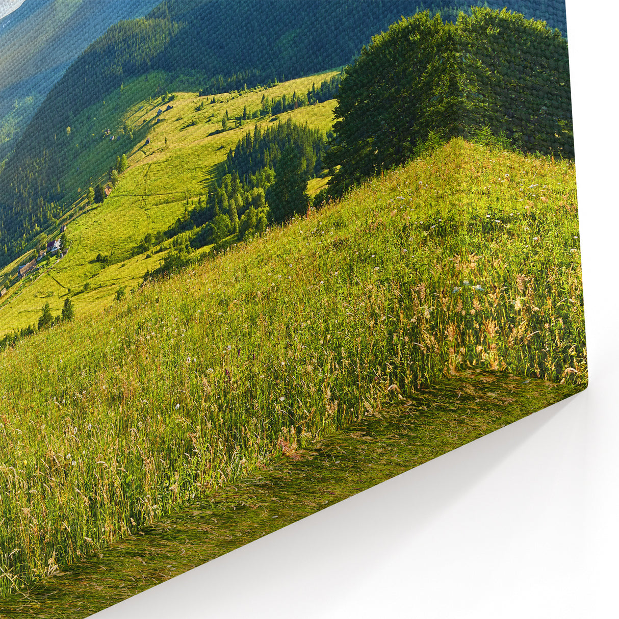 Sunny Mountain Meadow Art - Bright and Serene Scenic Landscape Wall Decor