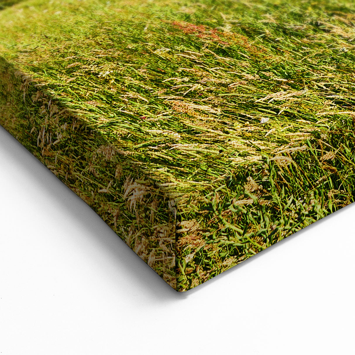 Sunny Mountain Meadow Art - Bright and Serene Scenic Landscape Wall Decor