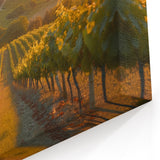 Vineyard Canvas Print - Sunset Vineyard Wall Art for Wine Country Decor