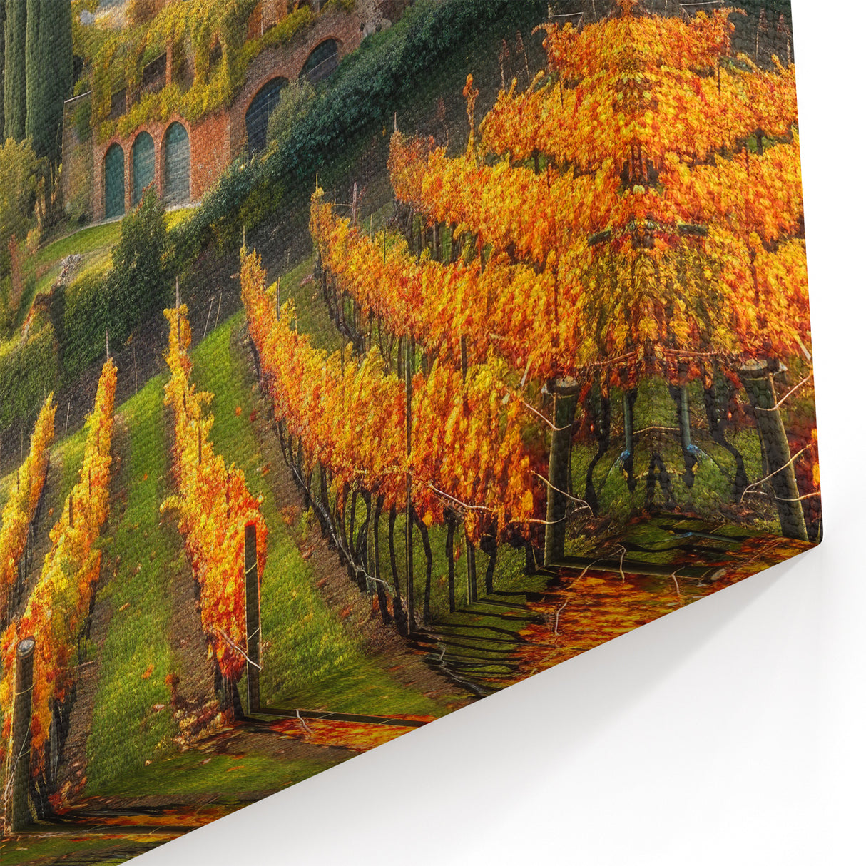 Framed Vineyard Art - Tuscany Vineyard Wall Art for Scenic Home Decor