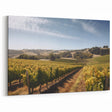 Vineyard Acrylic Glass Art - Serene Vineyard Wall Art for Modern Decor