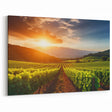 Vineyard Canvas Print - Vibrant Vineyard Sunset Art for Wine Country Decor