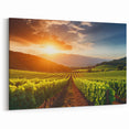 Vineyard Canvas Print - Vibrant Vineyard Sunset Art for Wine Country Decor