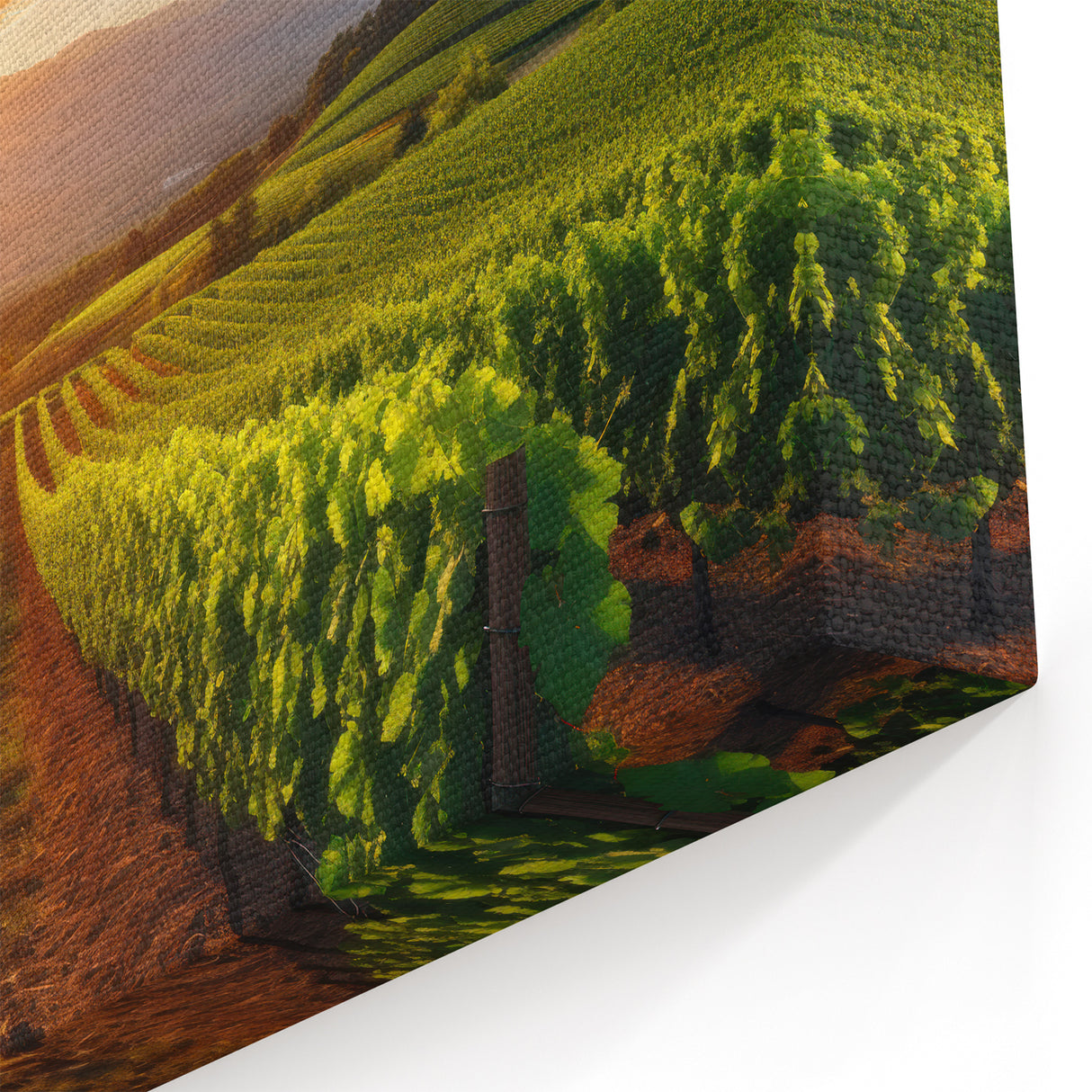 Vineyard Canvas Print - Vibrant Vineyard Sunset Art for Wine Country Decor